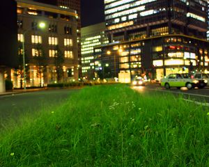 Preview wallpaper grass, buildings, lights, city