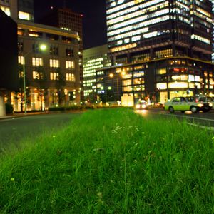 Preview wallpaper grass, buildings, lights, city