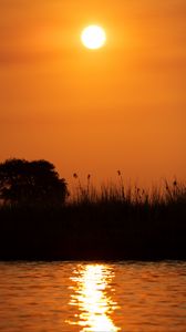 Preview wallpaper grass, bush, river, sunset, dark