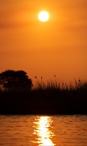 Preview wallpaper grass, bush, river, sunset, dark