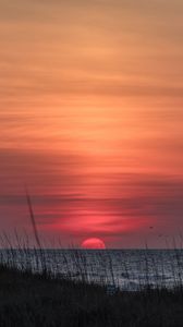 Preview wallpaper grass, coast, sea, sunrise, nature