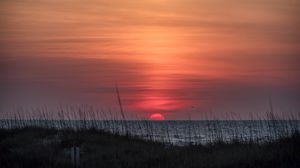 Preview wallpaper grass, coast, sea, sunrise, nature