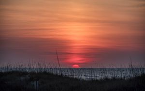 Preview wallpaper grass, coast, sea, sunrise, nature