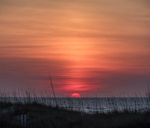 Preview wallpaper grass, coast, sea, sunrise, nature