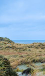 Preview wallpaper grass, coast, sea, view