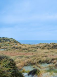 Preview wallpaper grass, coast, sea, view