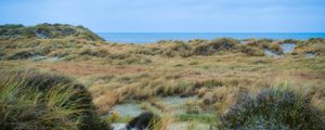 Preview wallpaper grass, coast, sea, view