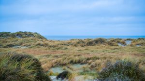 Preview wallpaper grass, coast, sea, view