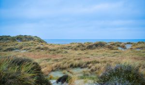 Preview wallpaper grass, coast, sea, view