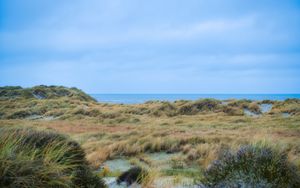 Preview wallpaper grass, coast, sea, view