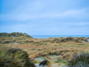 Preview wallpaper grass, coast, sea, view