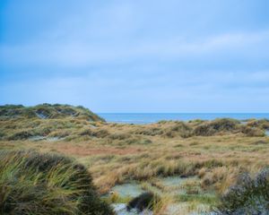 Preview wallpaper grass, coast, sea, view
