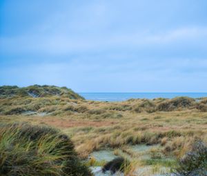 Preview wallpaper grass, coast, sea, view