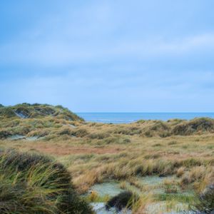 Preview wallpaper grass, coast, sea, view