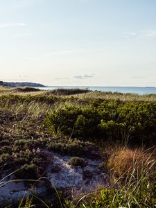 Preview wallpaper grass, coast, sea, landscape