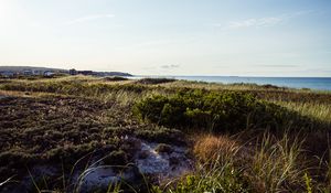 Preview wallpaper grass, coast, sea, landscape