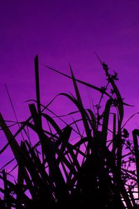 Preview wallpaper grass, dark, sky, purple, dusk