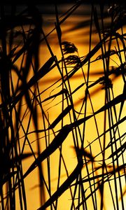 Preview wallpaper grass, dark, sunset, dusk, plants