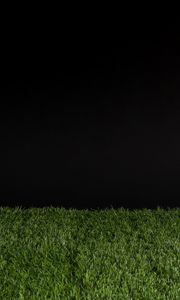 Preview wallpaper grass, darkness, minimalism