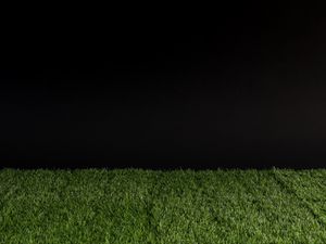 Preview wallpaper grass, darkness, minimalism