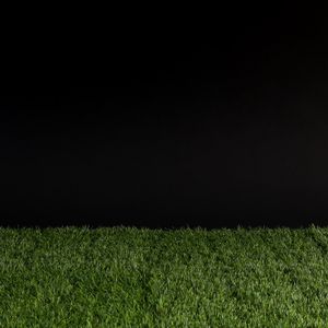Preview wallpaper grass, darkness, minimalism