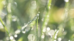 Preview wallpaper grass, dew, drops, rain, bokeh, light, macro