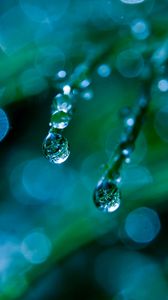 Preview wallpaper grass, dew, drops, macro, green