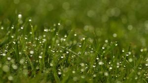 Preview wallpaper grass, dew, drops, bright