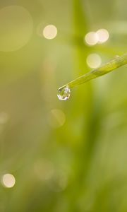 Preview wallpaper grass, drop, macro, blur, bokeh, green