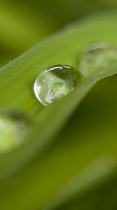 Preview wallpaper grass, drops, dew, blur