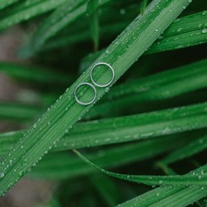 Preview wallpaper grass, drops, rings