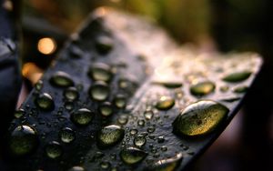 Preview wallpaper grass, drops, surface, shadow