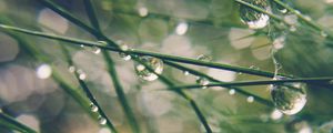 Preview wallpaper grass, drops, water, dew, moisture, macro, blur, green