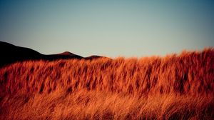 Preview wallpaper grass, dry, hills, landscape, nature