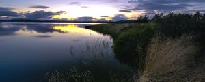 Preview wallpaper grass, dry, protected, evening