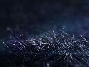 Preview wallpaper grass, dry, sticks, night, shadow