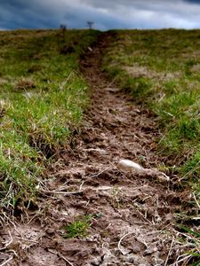 Preview wallpaper grass, earth, dirt, cloudy