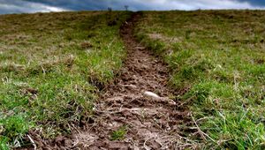 Preview wallpaper grass, earth, dirt, cloudy