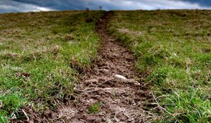 Preview wallpaper grass, earth, dirt, cloudy