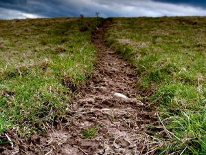 Preview wallpaper grass, earth, dirt, cloudy