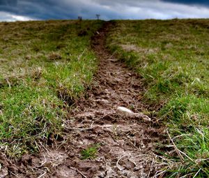 Preview wallpaper grass, earth, dirt, cloudy