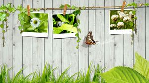 Preview wallpaper grass, fence, photo cards, butterfly, leaves