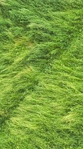 Preview wallpaper grass, field, aerial view, green