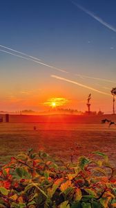 Preview wallpaper grass, field, dawn, leaves, hdr