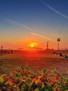 Preview wallpaper grass, field, dawn, leaves, hdr