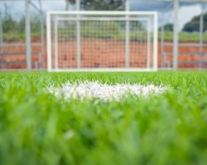 Preview wallpaper grass, field, gate, football, sport