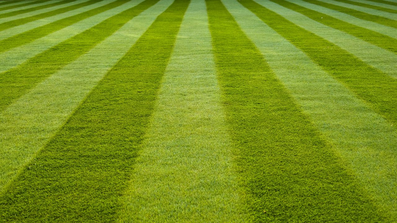 Wallpaper grass, field, green, stadium
