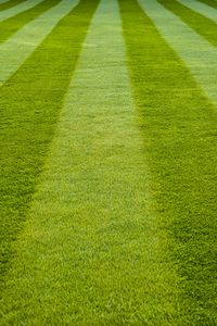 Preview wallpaper grass, field, green, stadium
