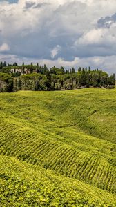 Preview wallpaper grass, field, hill