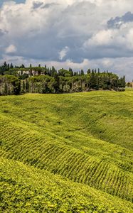 Preview wallpaper grass, field, hill